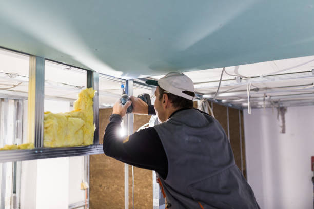 Best Insulation Installation Services in Antlers, OK